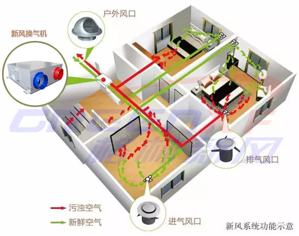 大家好！你还傻傻的分不清新风系统和空气净化器吗?