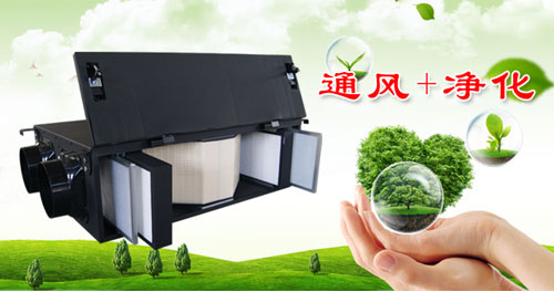 花粉与柳絮齐飞，这份攻略助你顺利“渡劫”！